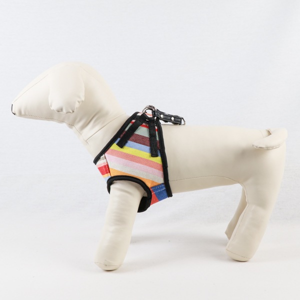 AG010ۥɥåϡͥ S(ȥ ޥ/TOM Multi)