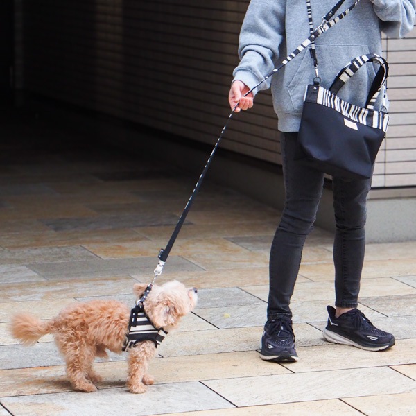 AG010ۥɥåϡͥ S(ȥ ֥å/TOM Black)