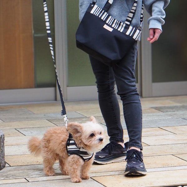 AG010ۥɥåϡͥ S(ȥ ֥å/TOM Black)