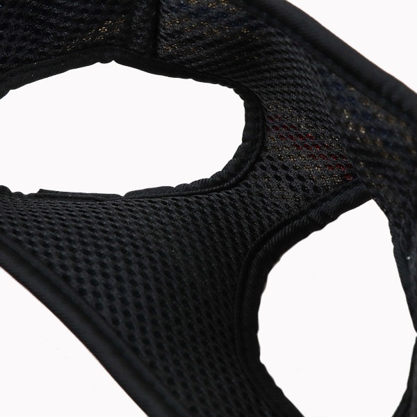 AG011ۥɥåϡͥ M(ХΥ /CABANON Roy)