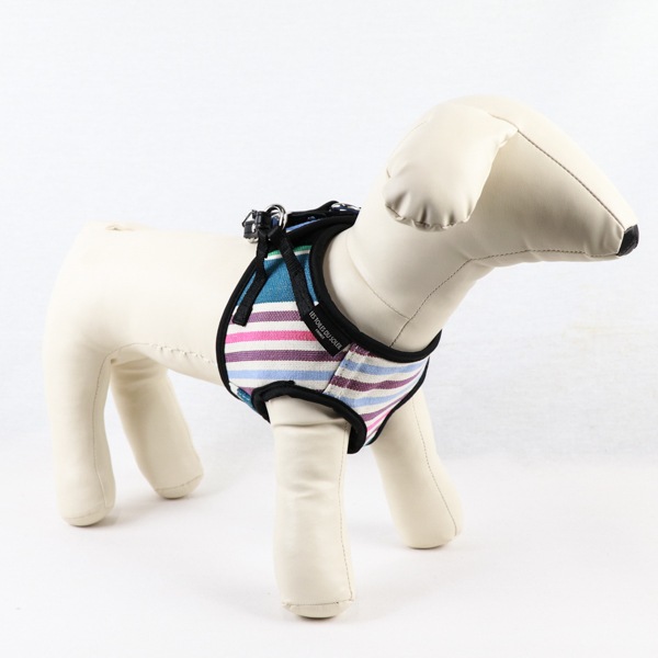 AG011ۥɥåϡͥ M(ХΥ /CABANON Roy)