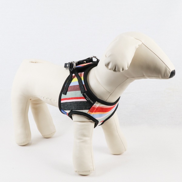 AG011ۥɥåϡͥ M(ȥ ޥ/TOM Multi)