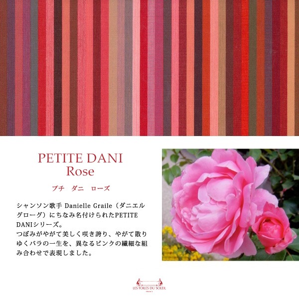 ١A173Bۥɥݡ(ץ  /PETITE DANI Rose)