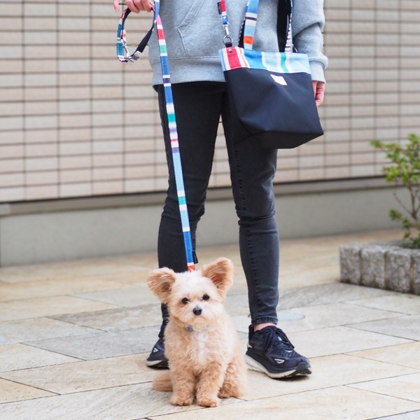 AG012ۥɥå꡼(ХΥ /CABANON Roy)