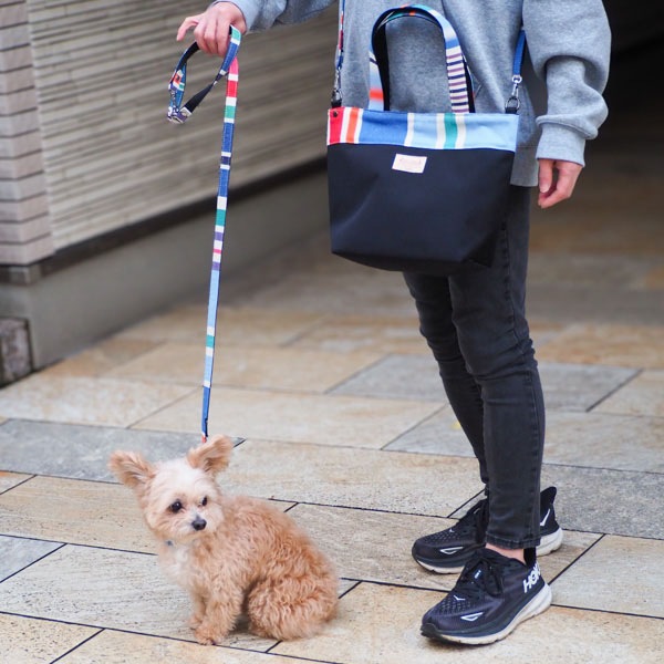 AG012ۥɥå꡼(ХΥ /CABANON Roy)