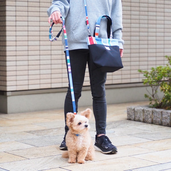 AG012ۥɥå꡼(ХΥ /CABANON Roy)