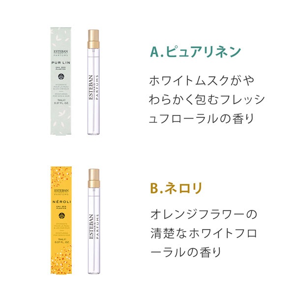 ��ESTEBAN / �������������٤�ۿ�����奪���ǥץ��ġ��ߥ˥ڥ�ݡ������å�