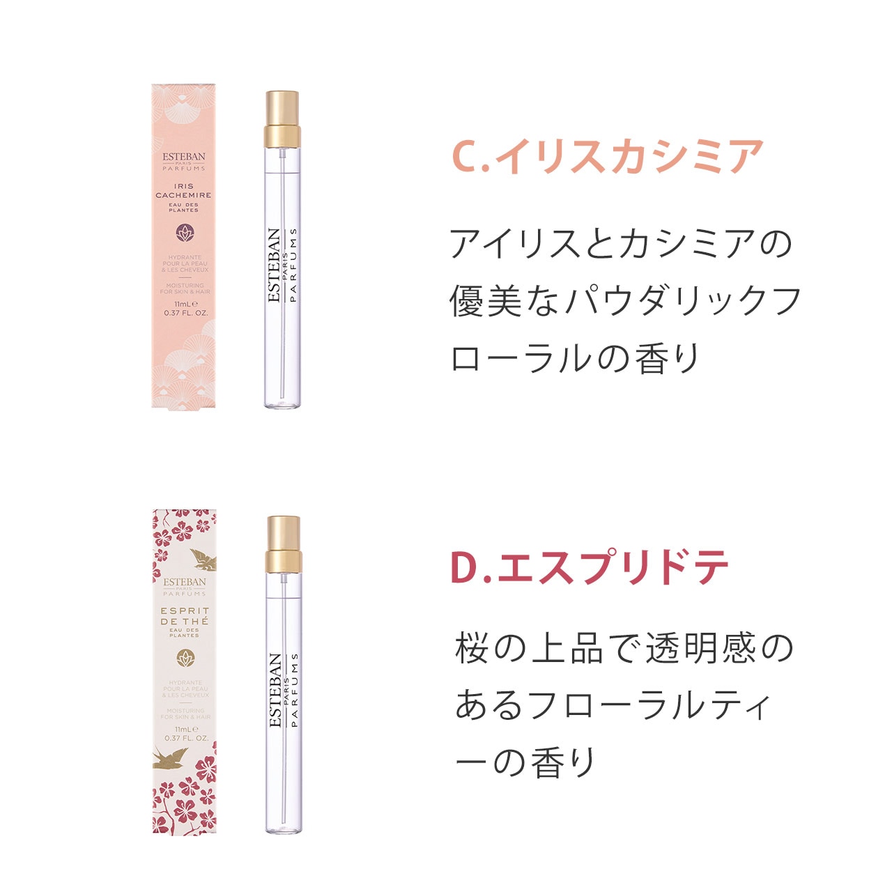 ��ESTEBAN / �������������٤�ۿ�����奪���ǥץ��ġ��ߥ˥ڥ�ݡ������å�