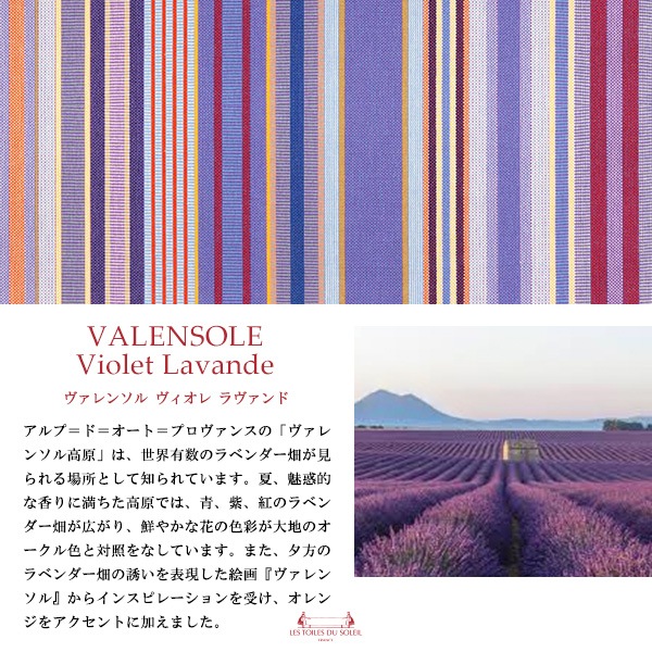 NEWA296ʸܥ֥åСA6ĢС(󥽥  /VALENSOLE Violet Lavande)