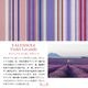 NEWA296ʸܥ֥åСA6ĢС(󥽥  /VALENSOLE Violet Lavande)