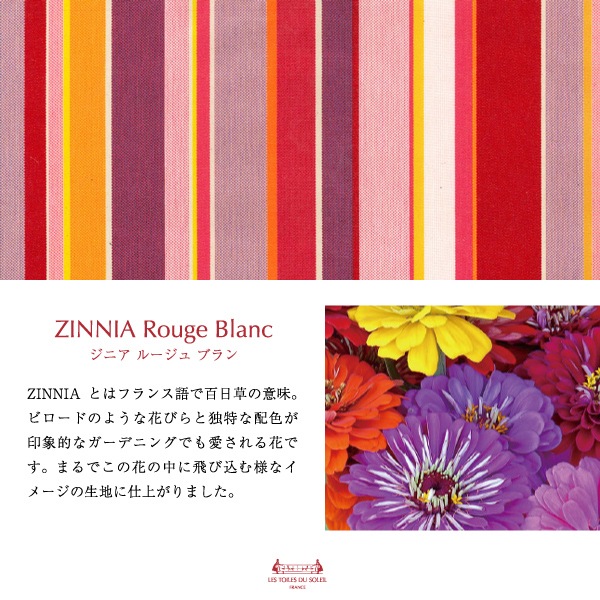 NEWA297ξ̥ѥ ϥ󥫥(˥ 롼 ֥/ZINNIA Rouge Blanc)