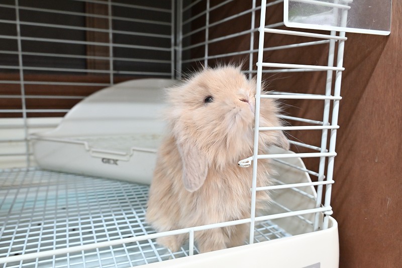 ミックス No.1376