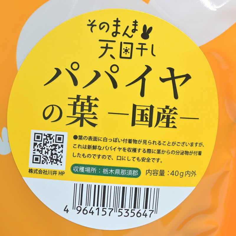 カワイ そのまんま天日干し パパイヤの葉 40g内外 ※新葉 ※2025年11月6