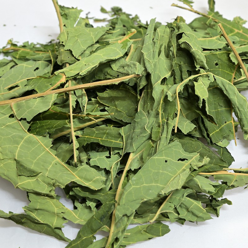 カワイ そのまんま天日干し パパイヤの葉 40g内外 ※新葉 ※2025年11月6