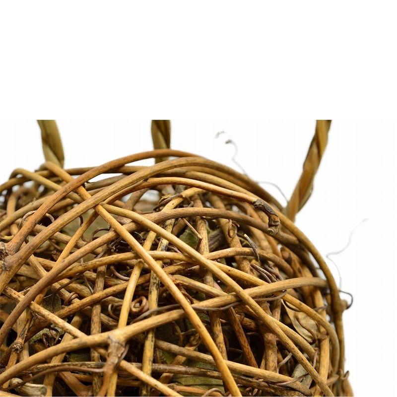 カワイ かじリングボール ビワボール・ミニ