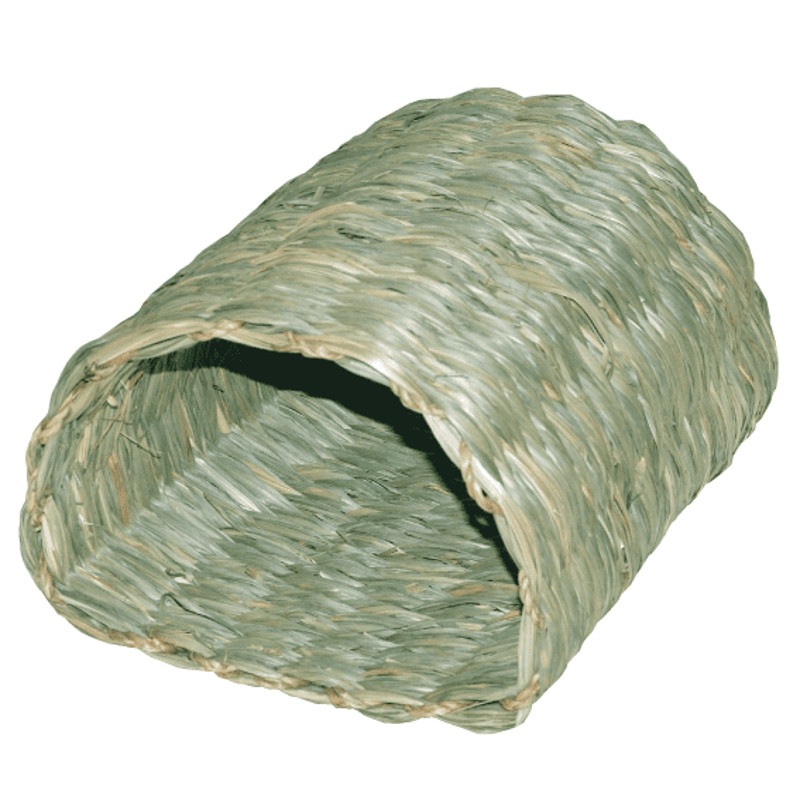 カワイ わらっこ倶楽部 トンネルハウス