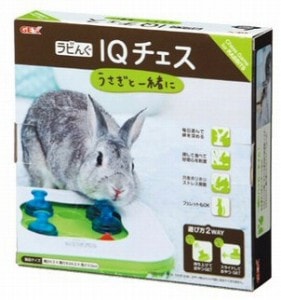 ラビんぐ IQチェス