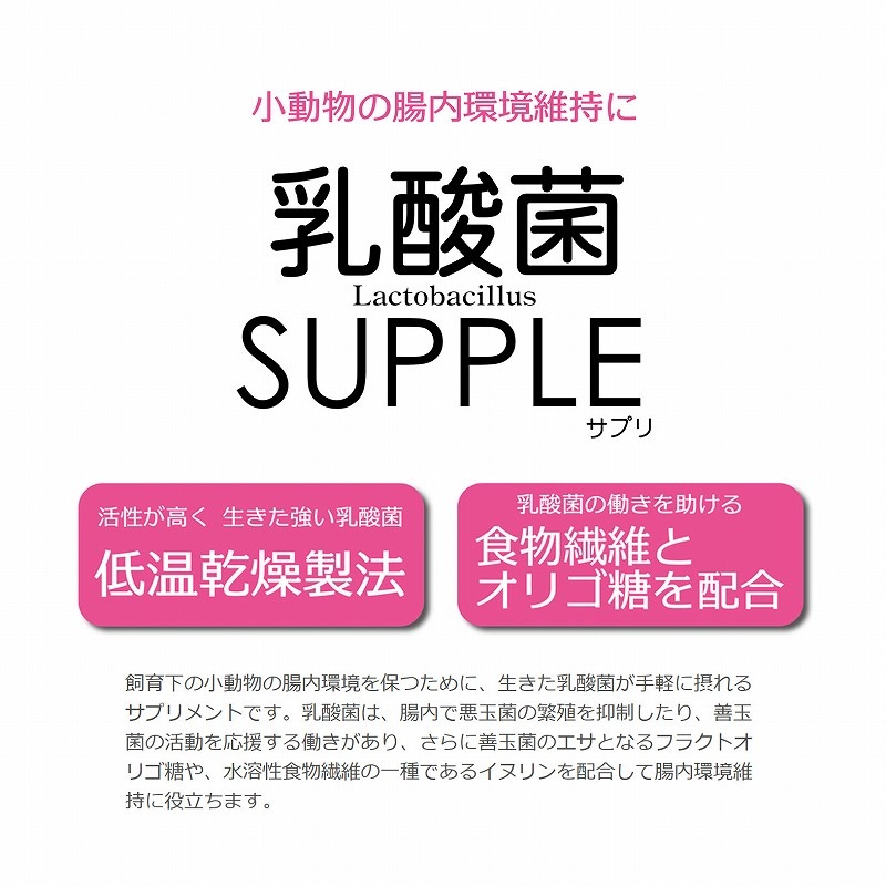 SANKO 乳酸菌サプリ 大容量100g 424