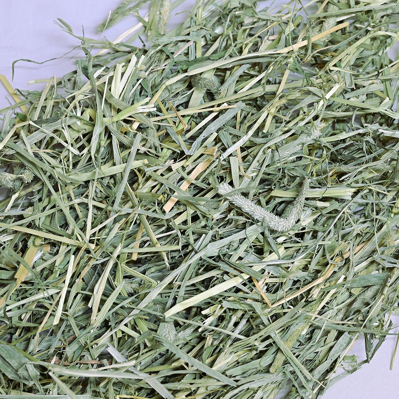 ウーリーのUSA牧草「ティモシー1番刈り」600g