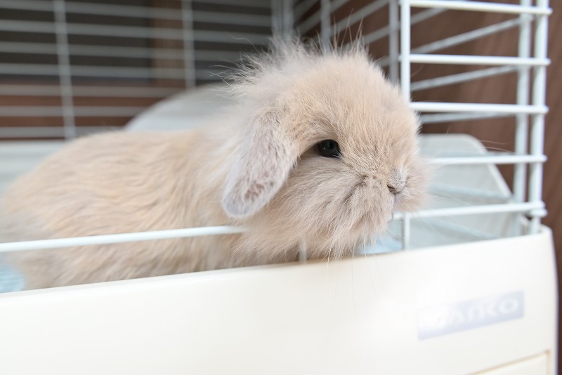 ミックス No.1360