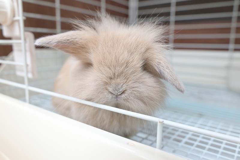 ミックス No.1360