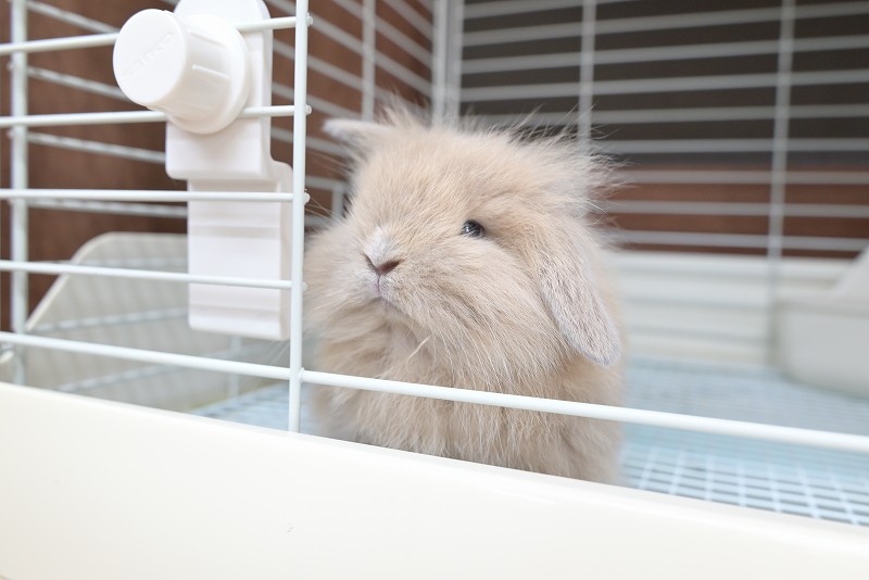 ミックス No.1360