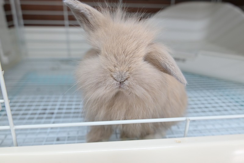 ミックス No.1360