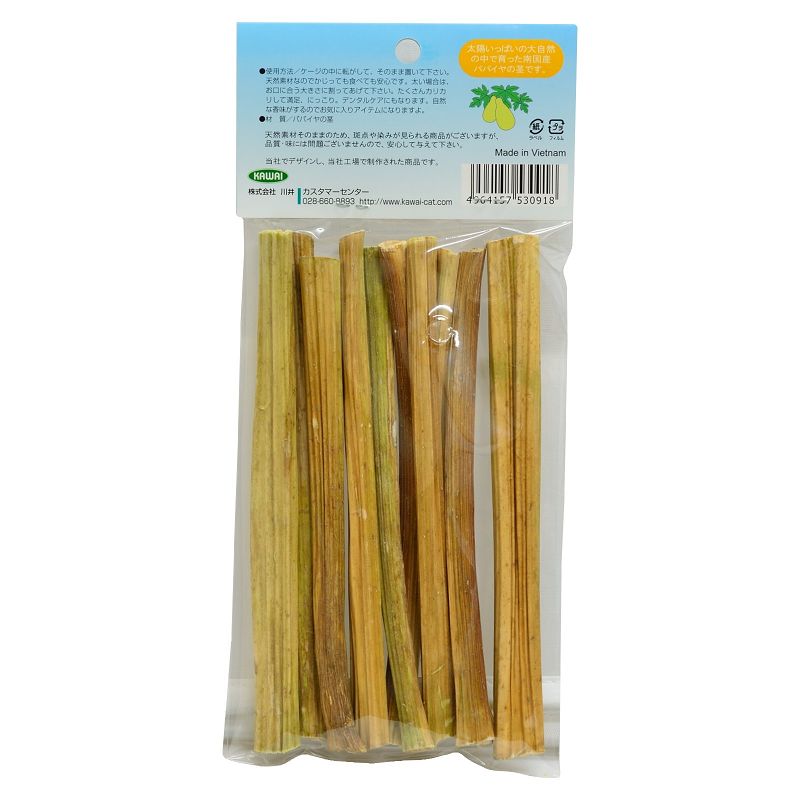 南国パパイヤスティック 10本入り