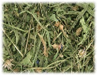 SANKO デリ・スタイル「オオバコ」30g F71