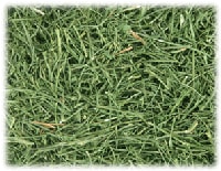 サンファーム【パセリ】90g