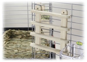 かじり木フェンス