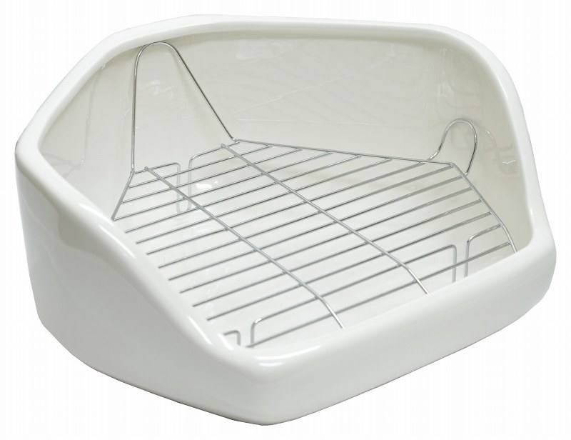 レストルーム・ホワイト