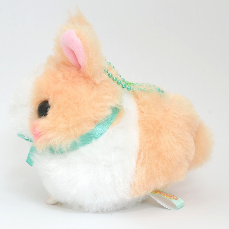 うさだまちゃん LMC カフェもふ | うさぎ専門店ラッキーハート- うさぎ