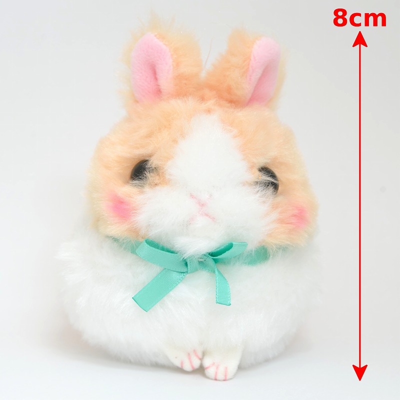 うさだまちゃん LMC カフェもふ | うさぎ専門店ラッキーハート