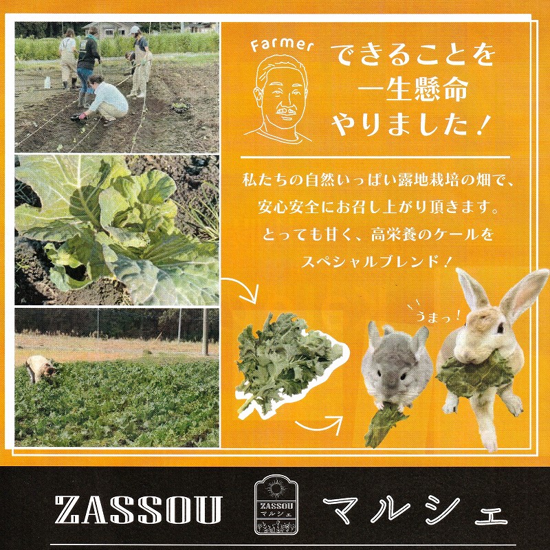 ジュピター ZASSOUマルシェ「ケールの葉」50g