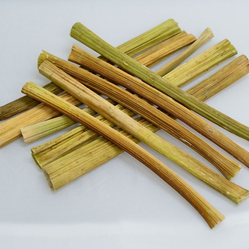 南国パパイヤスティック 10本入り