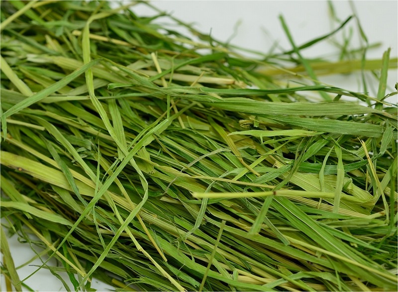 高原の朝採りティモシー「ミディアムソフト」350g ※2016年度産 ※1週間あたりお一人様1個限り