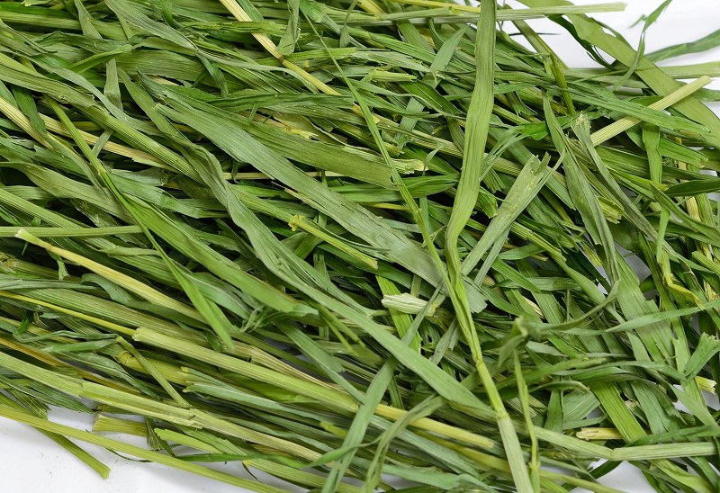 おためし牧草「高原の麦・ミディアムソフト」40g