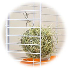 ヘイヘイホルダー