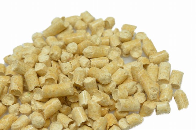 【取扱中止】パインの木の上で6L