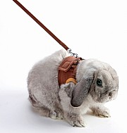 うさちゃんのらくらくベストハーネス M