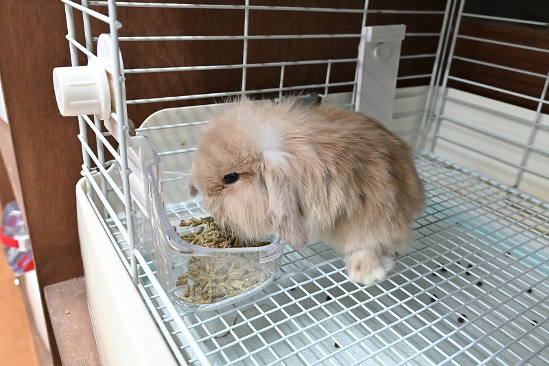 ミックス No.1376