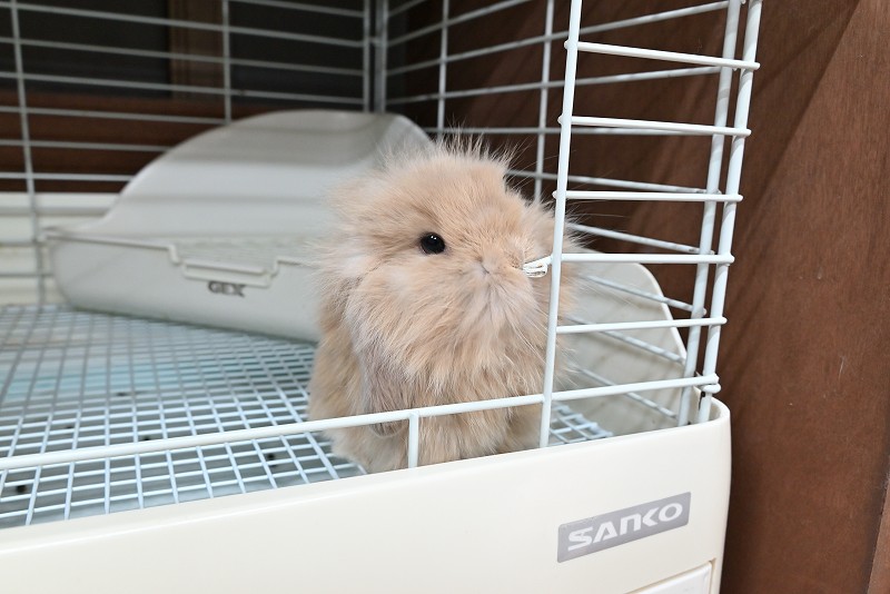 ミックス No.1376