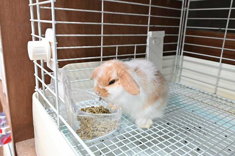 ミックス No.1377