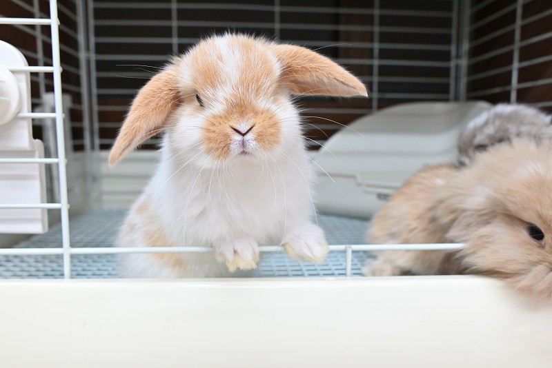 ミックス No.1377