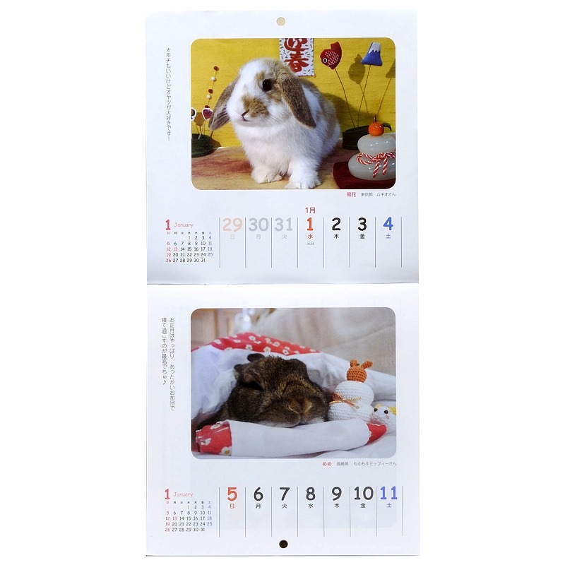 うさ暮ら週めくりカレンダー 壁掛け型 うさぎ専門店ラッキーハート