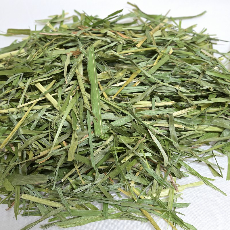 山野草　希少　キバナノアツモリソウ　箱売り 山野草 希少 キバナノアツモリソウ 大株 山野草 希少 キバナノ