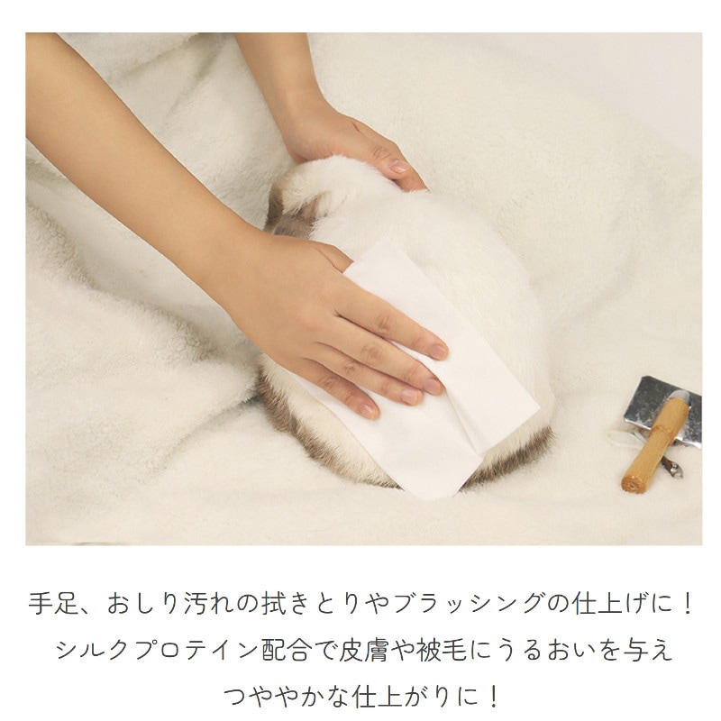 新品　未使用　スタンドバック　キャッシュバック　タオル 楽天市場】キャスキッドソン ギフトセット 当店オリジナル 2点
