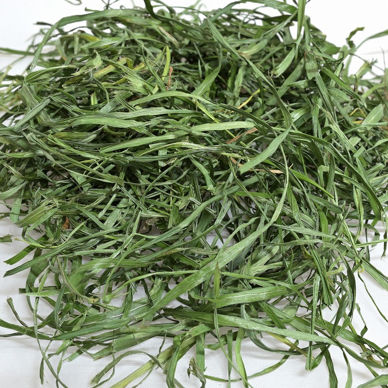 ファーマーズ 超若刈りイタリアンライグラス くるくるシルキーコットン 10g ※2025年10月収穫分