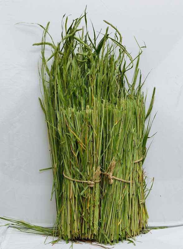 ワイルドヘイ 3束 ※2015年産